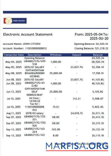 Printable India RBB Smart bank electronic account statement word download for verification